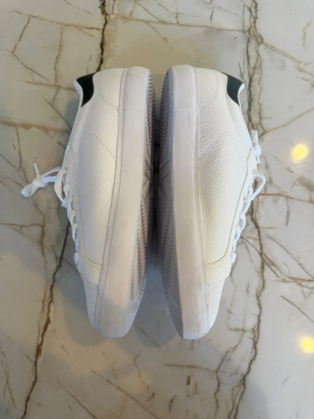 Men's Lacoste Sneakers